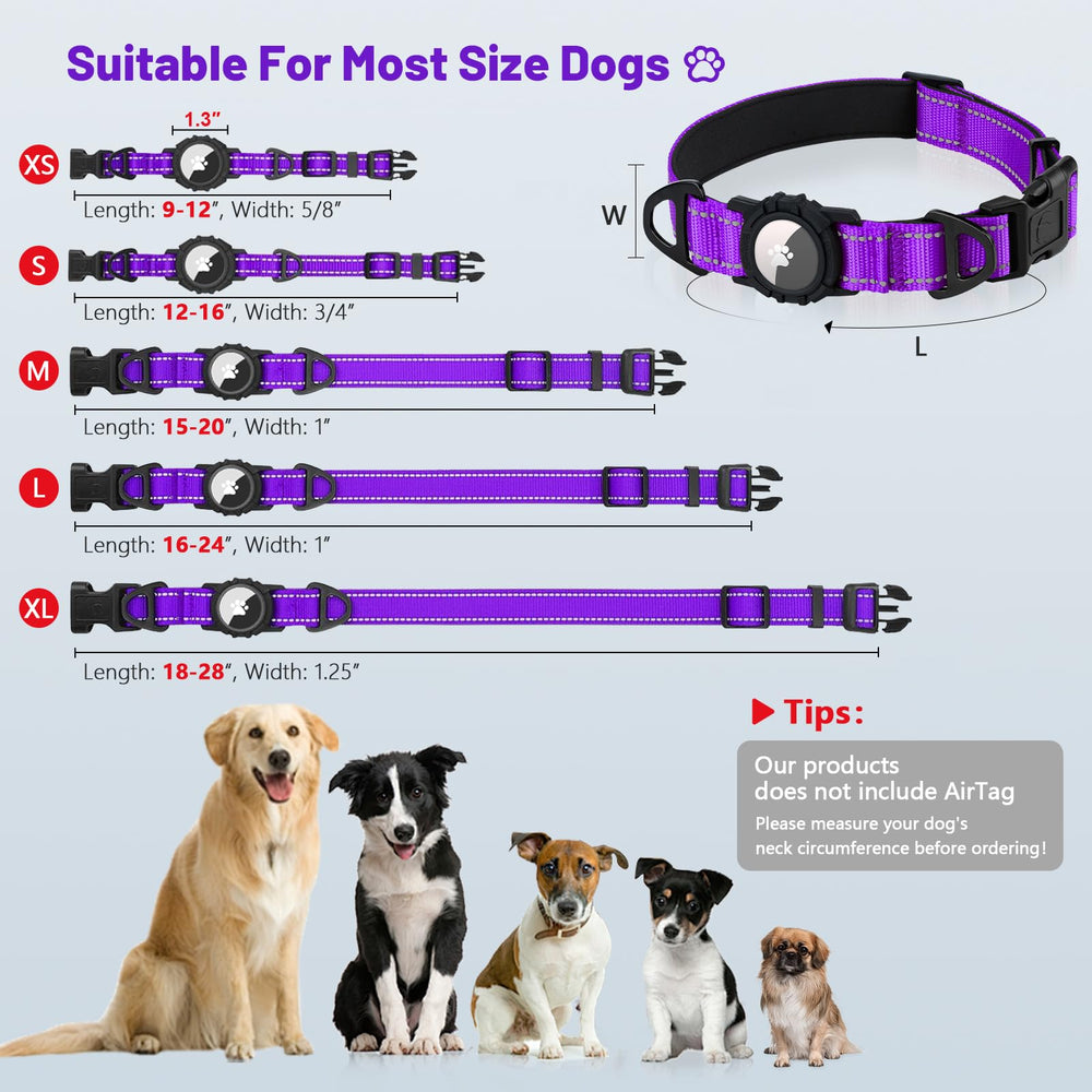 Taglory dual D-rings support leash and ID tag combination.