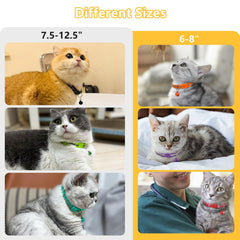 Taglory reflective paw design enhances nighttime visibility during play.