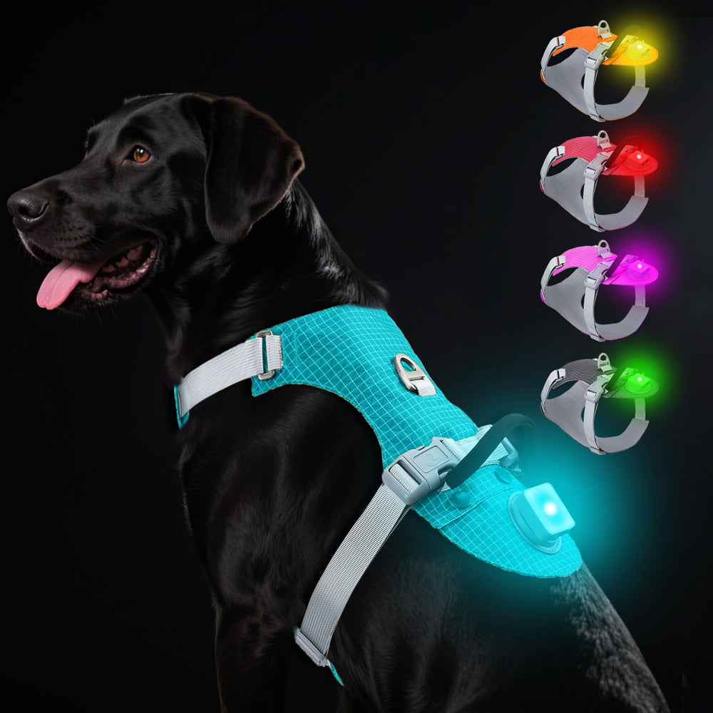 Taglory light-up dog harness with AirTag holder for secure night tracking.