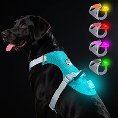 Taglory light-up dog harness with AirTag holder for secure night tracking.