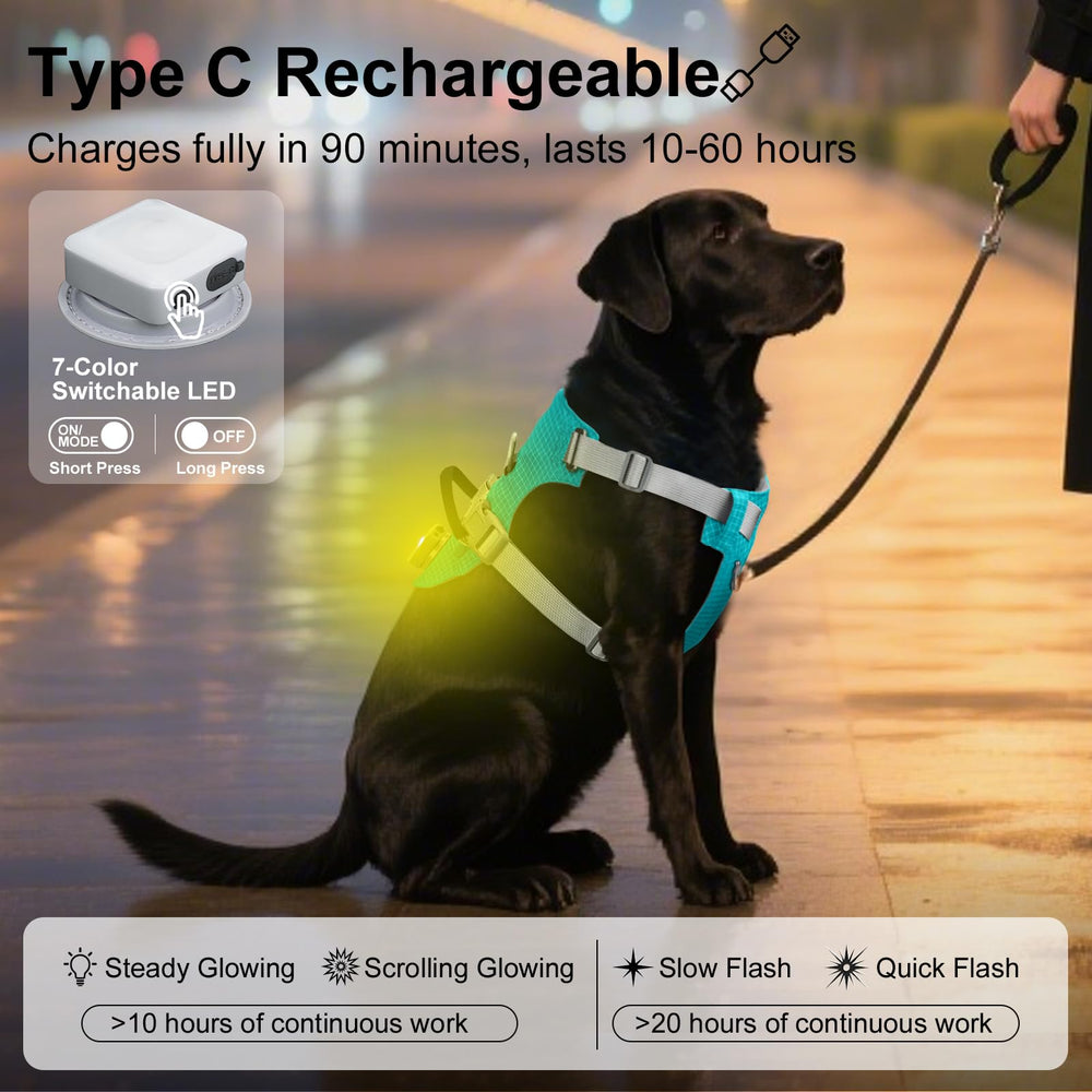 Taglory LED modes offer four lighting options for safer night adventures.