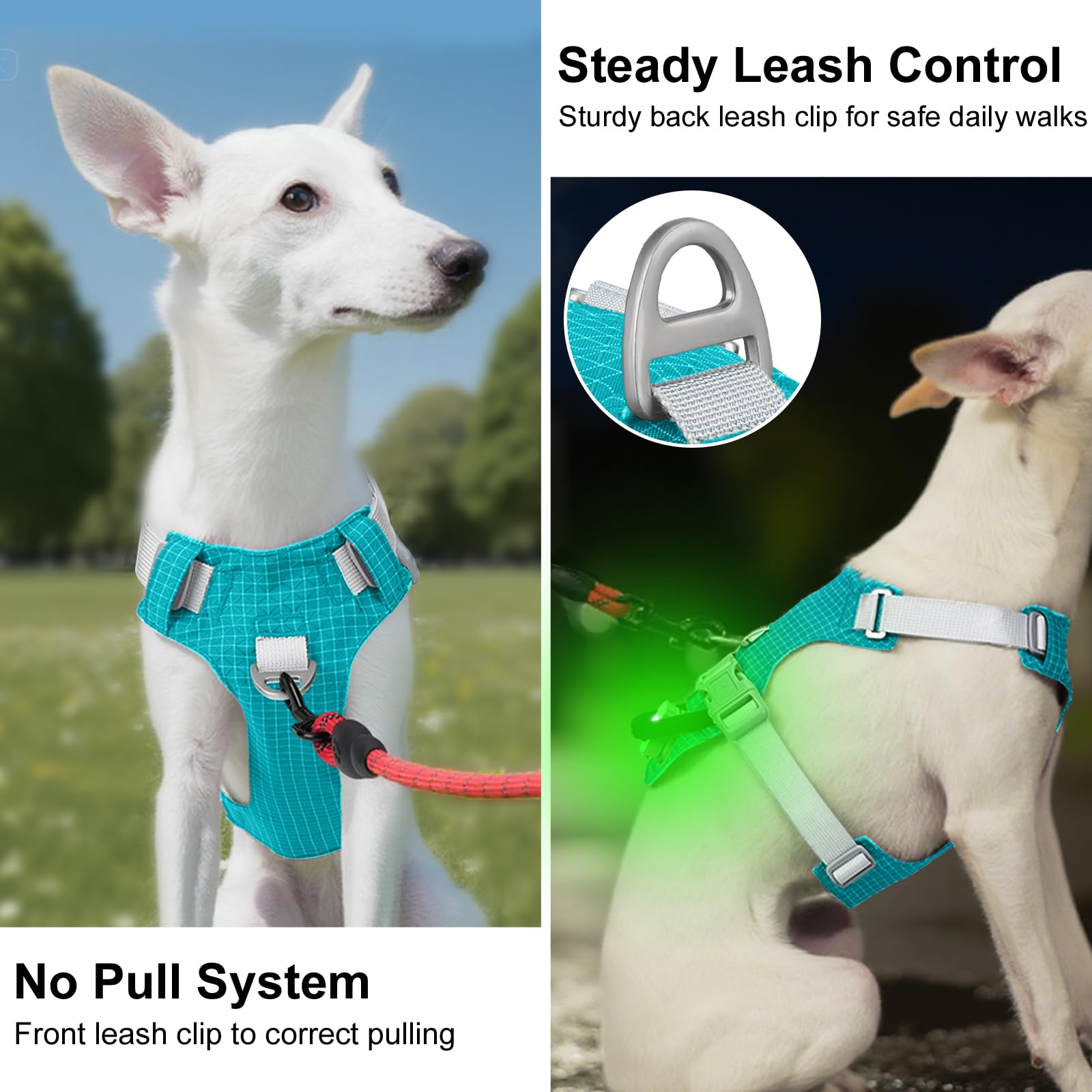 Taglory adjustable-fit harness for medium dogs with breathable material and durability.