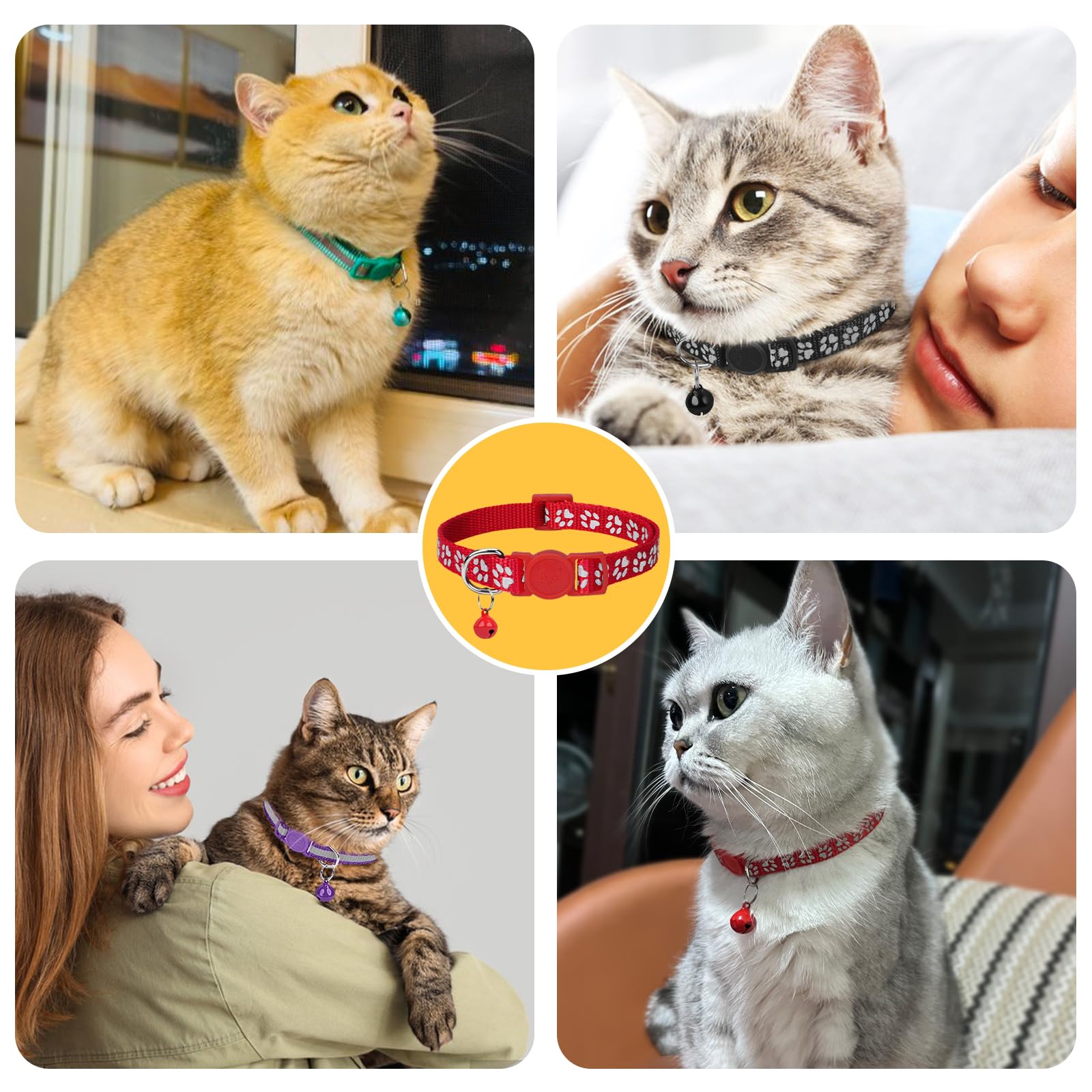 Taglory Lightweight Kitten Collar with removable bell for gentle daily wear.