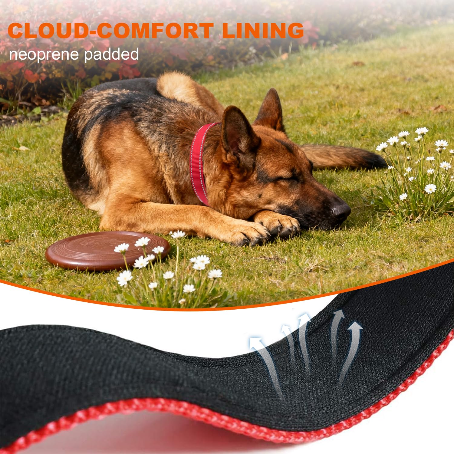 Taglory lightweight-nylon-collar is durable and hand-washable after muddy adventures.