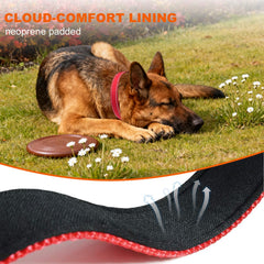 Taglory lightweight-nylon-collar is durable and hand-washable after muddy adventures.