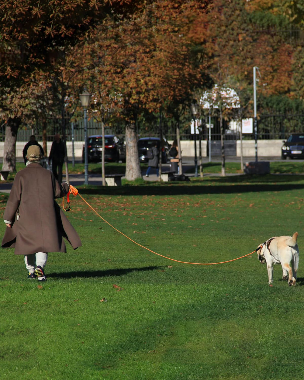 Taglory long training leash in orange color for high visibility in parks.
