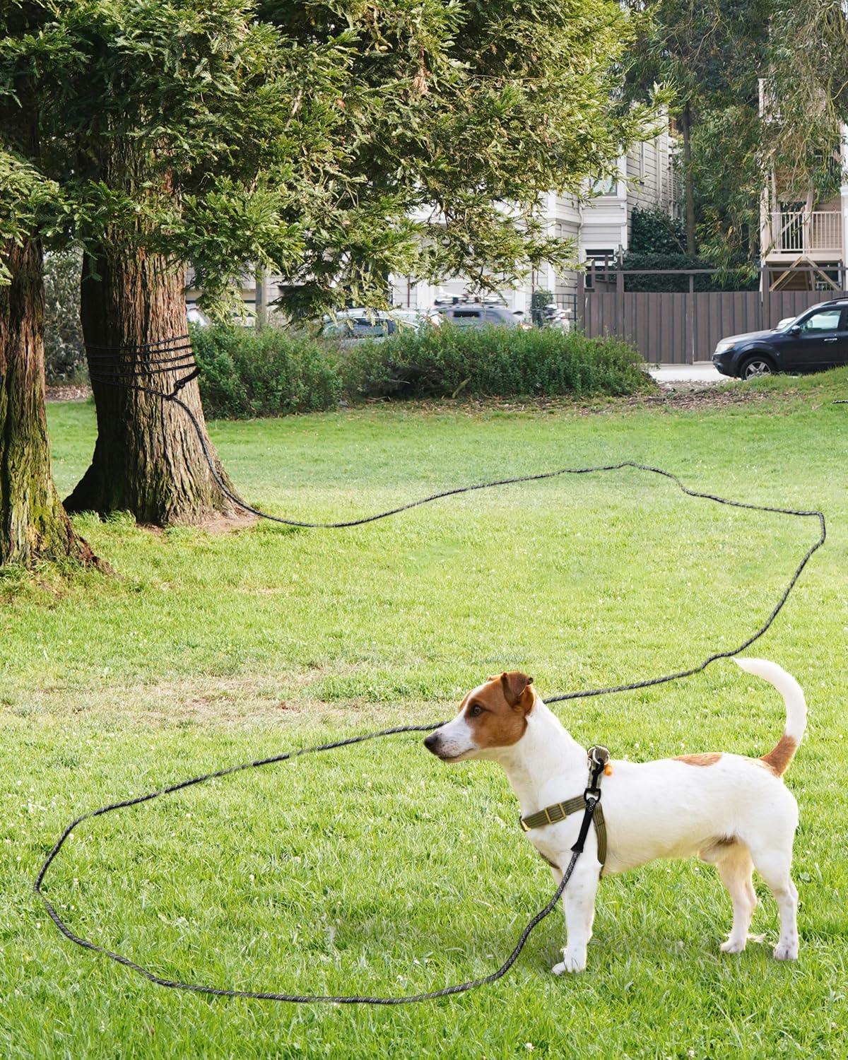 Taglory long training leash outdoor-dog-use versatile for yard, trails, and camping.