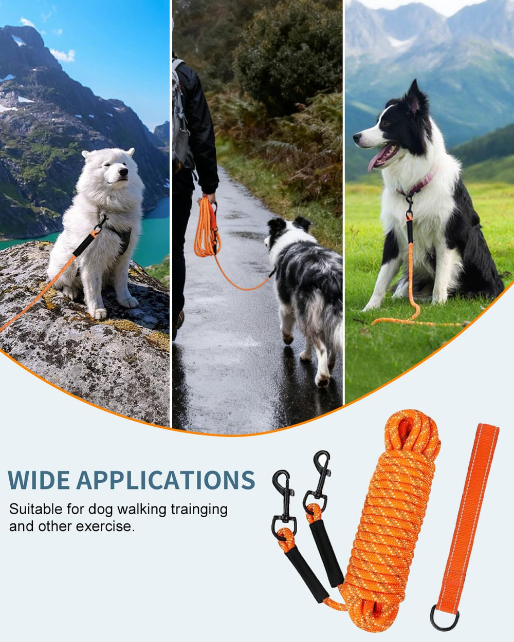 Taglory long training leash with outdoor-ready design for camping and backyard play.