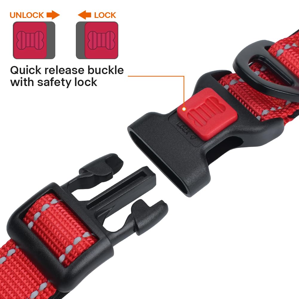 Taglory neoprene-padded collar offers soft comfort during active play