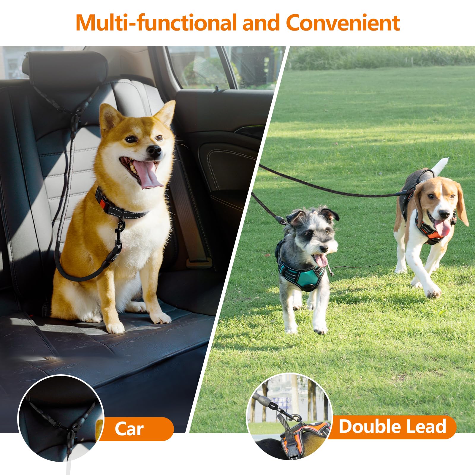 Taglory reflective stitching enhances nighttime visibility during walks.