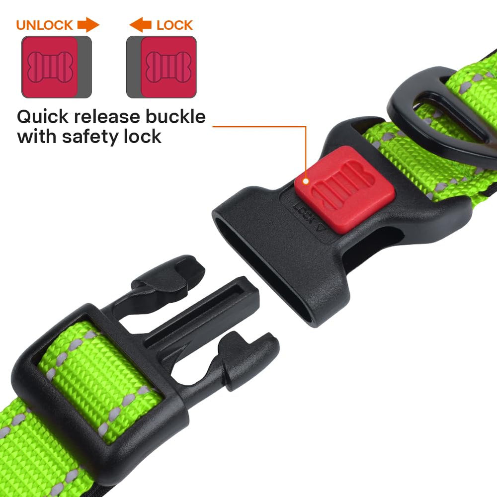 Taglory reflective dog collar green in night lighting highlighting high visibility.