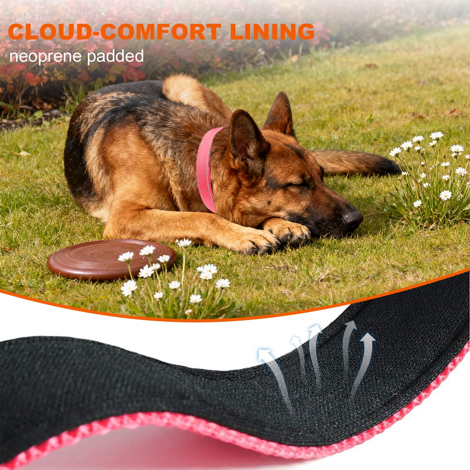 Taglory Reflective Straps visible at night for better visibility during walks