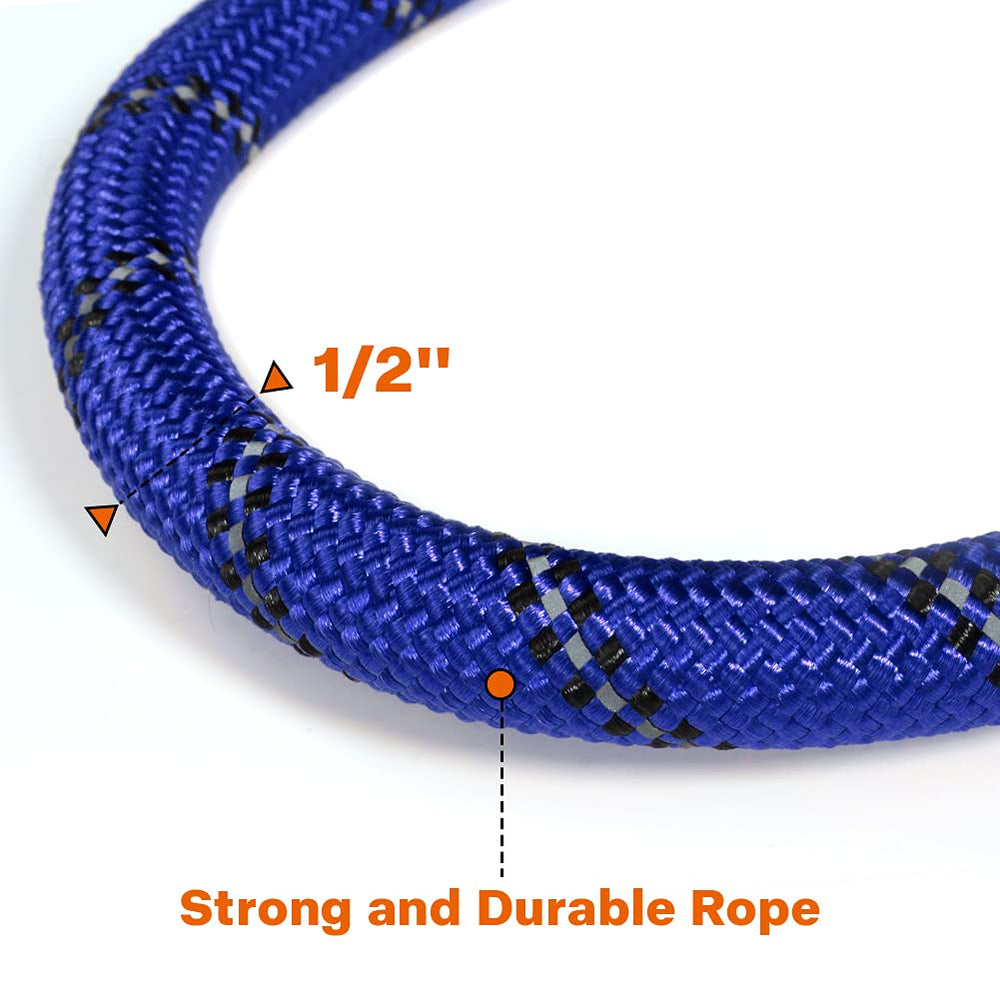 Taglory reflective threads on leash enable safer night walks.