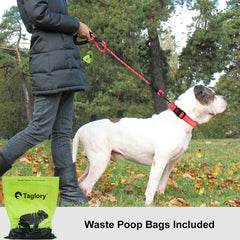 Taglory rope dog leash with 360-degree swivel clip to reduce twisting