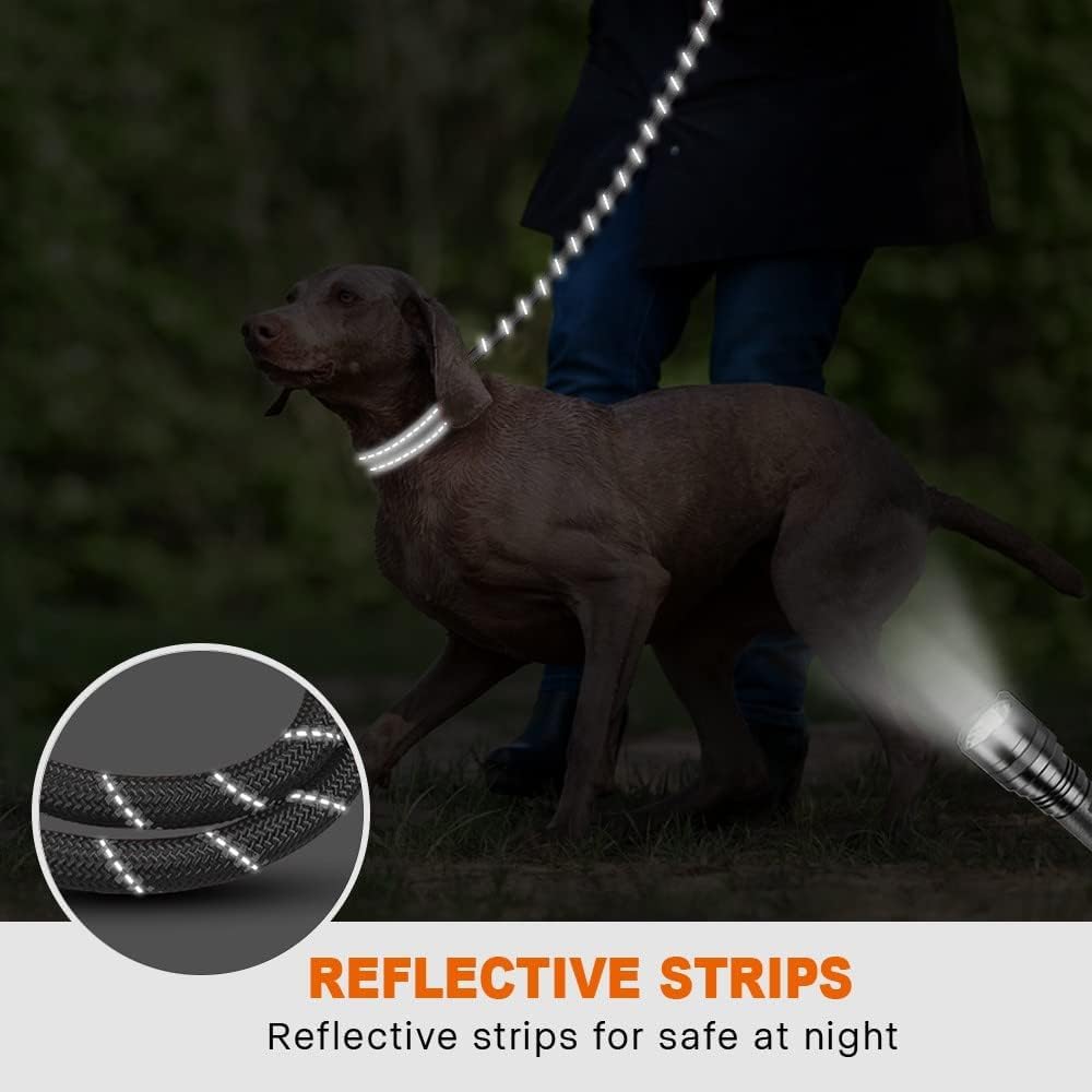 Taglory rope dog leash at night showing reflective visibility