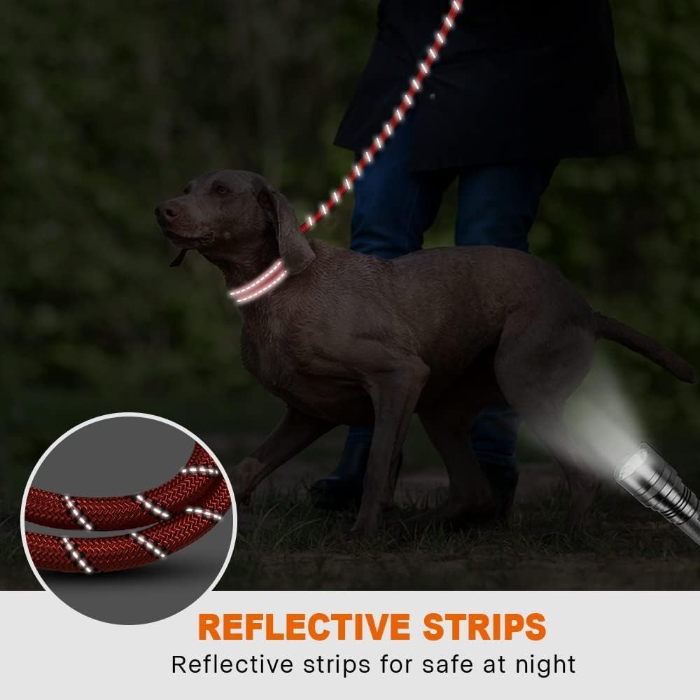 Taglory rope dog leash two-diameters option helps fit different dog sizes.