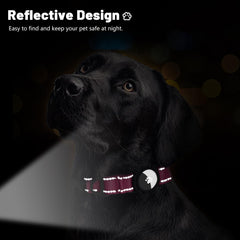 Taglory safety locking buckle on pink collar ensures durable, anti-release fastening.
