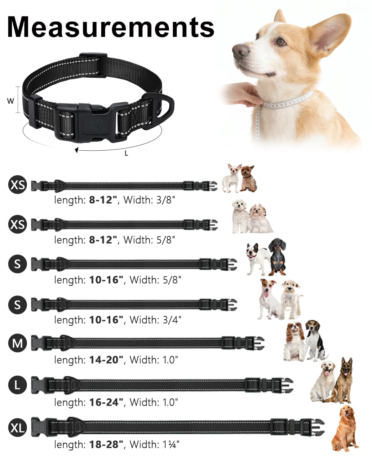 Taglory Size Chart guides proper sizing for growing dogs.