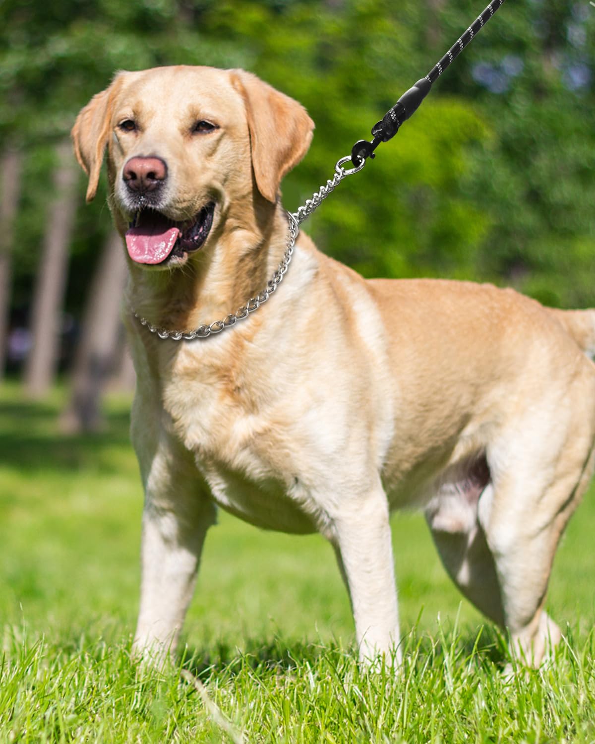 TagME chrome-plated finish illustration highlights lightweight yet sturdy feel.