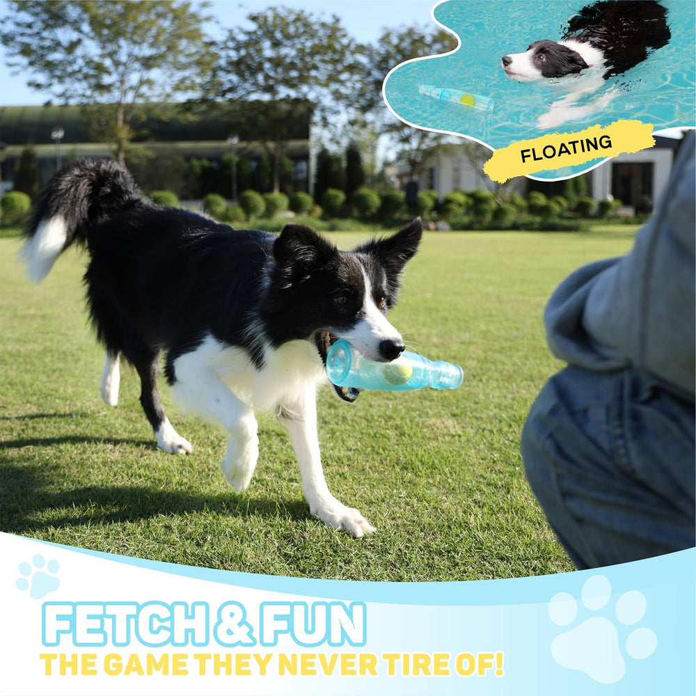 TagME dog plays fetch with blue toy for active engagement.