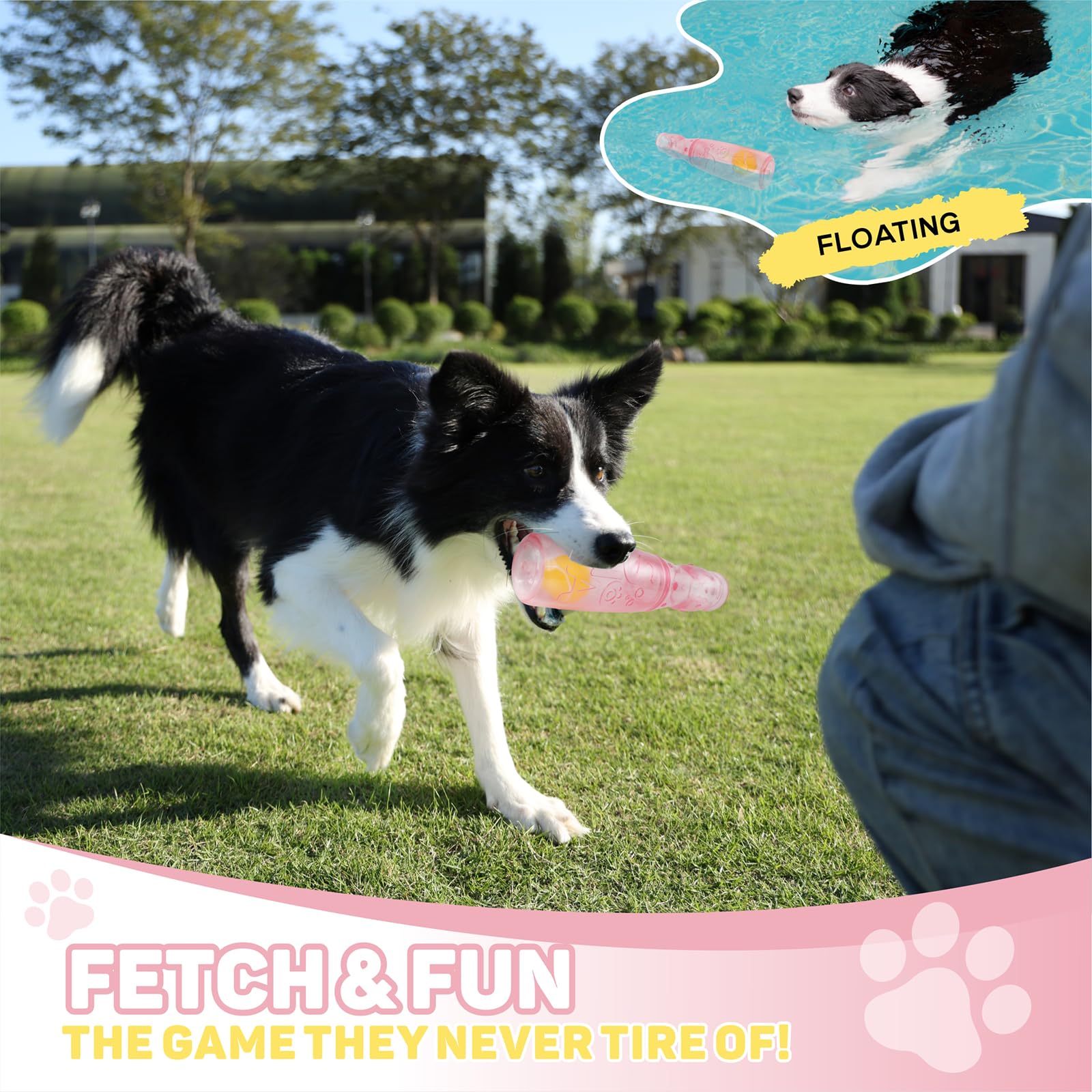 TagME treat-dispenser toy in action—enrichment during play