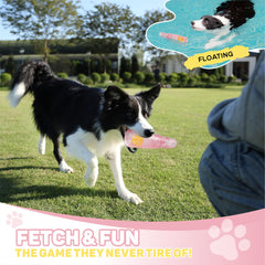 TagME treat-dispenser toy in action—enrichment during play