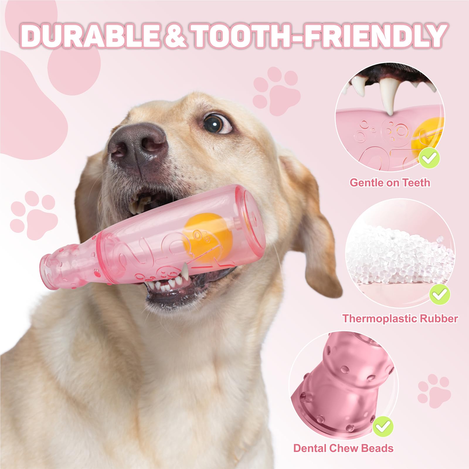 TagME 3-in-1 dog toy — ball-bottle action for fetch and chew