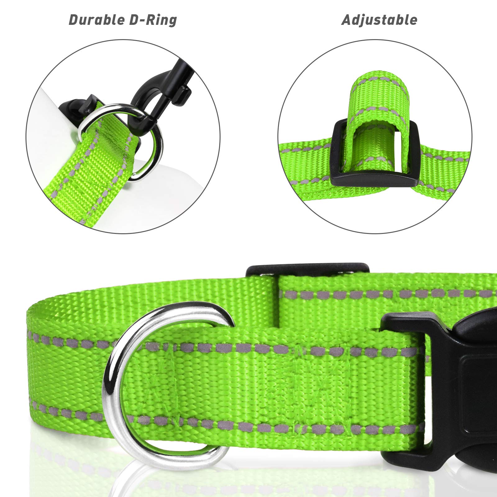 TagME reflective dog collar demonstrates night-time visibility during a night walk