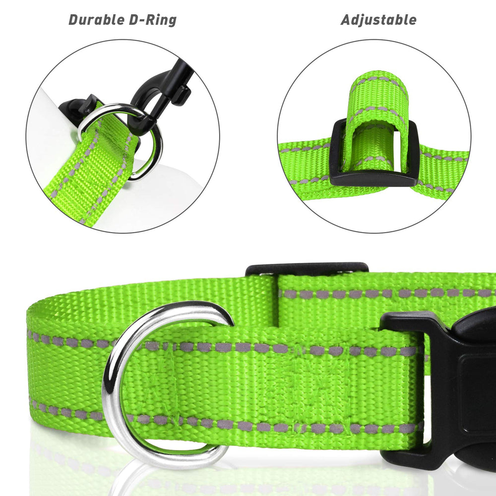 TagME reflective dog collar demonstrates night-time visibility during a night walk
