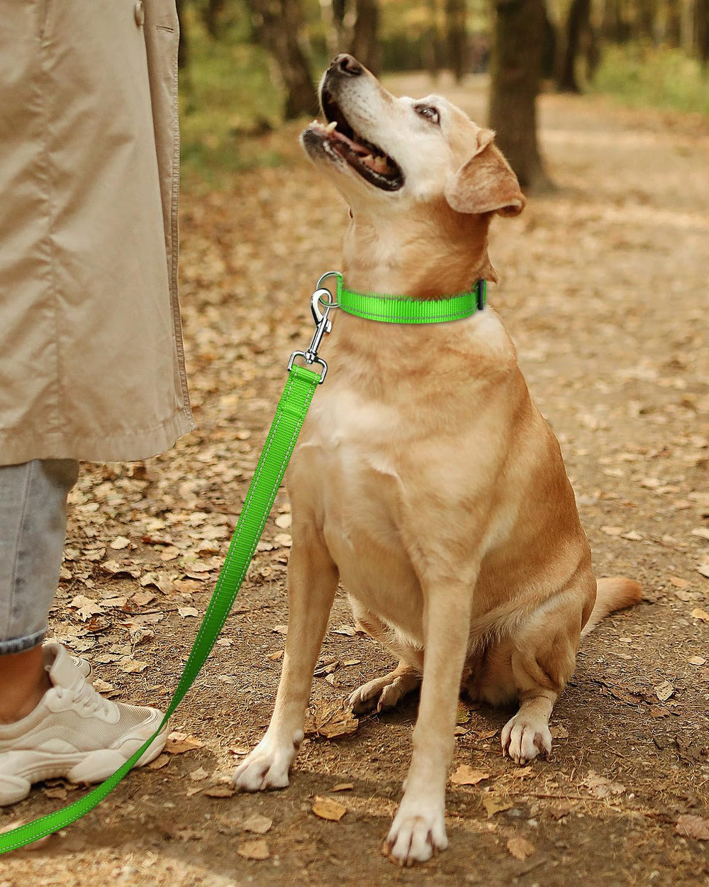 TagME reflective dog collar on a stylish walk emphasizing comfort and wearability