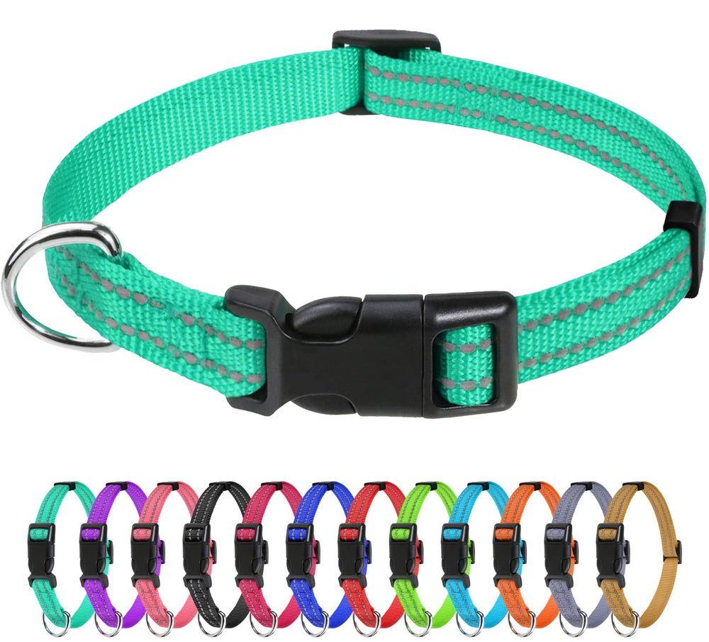 TagME Reflective Nylon Dog Collar turquoise boosts night visibility for safer evening walks.