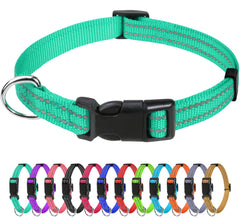 TagME Reflective Nylon Dog Collar turquoise boosts night visibility for safer evening walks.