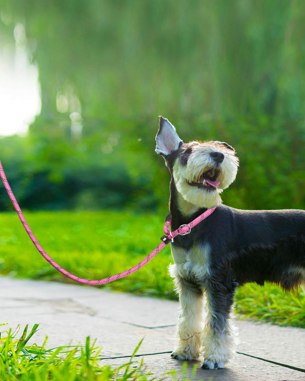 TagME Slip Lead pink color variation for style and easy identification