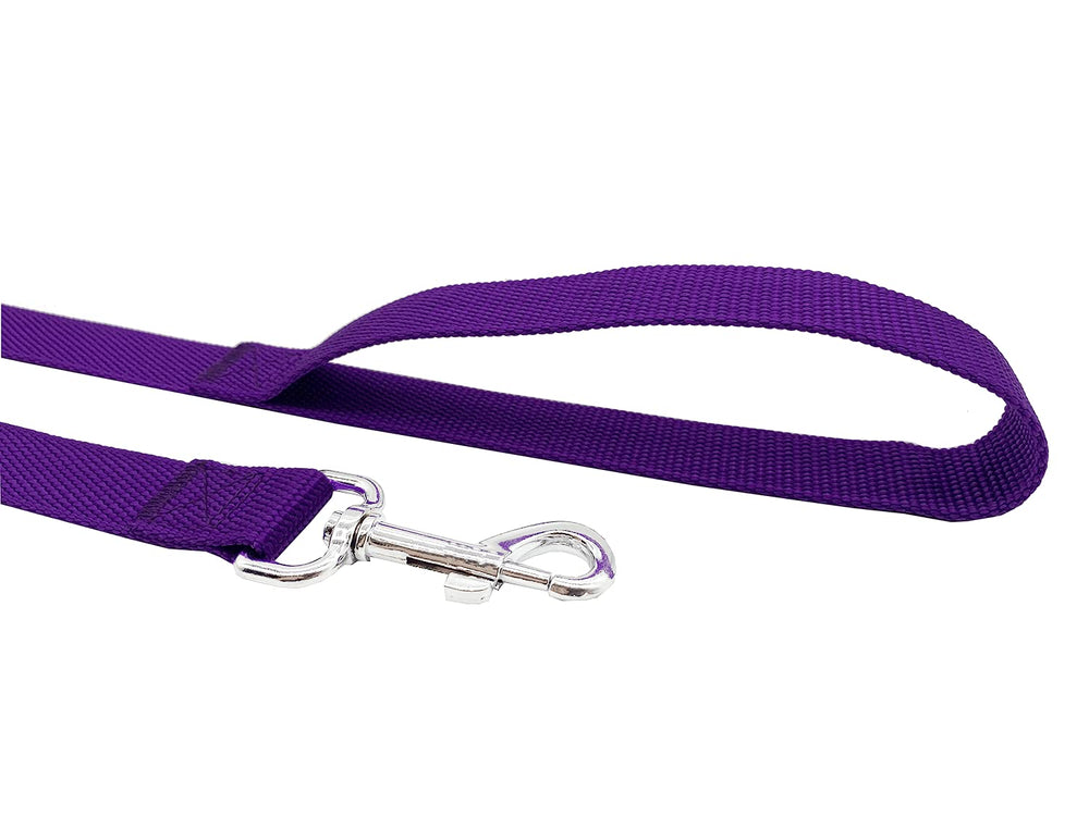 TAIDA nylon dog leash, 4ft five-eighth-inch-wide, lightweight grip for urban strolls.