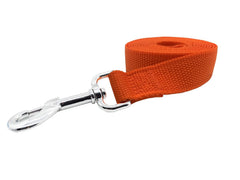 TAIDA strong nylon dog leash 10ft in-use demonstrates full range for sniffing and exploration.