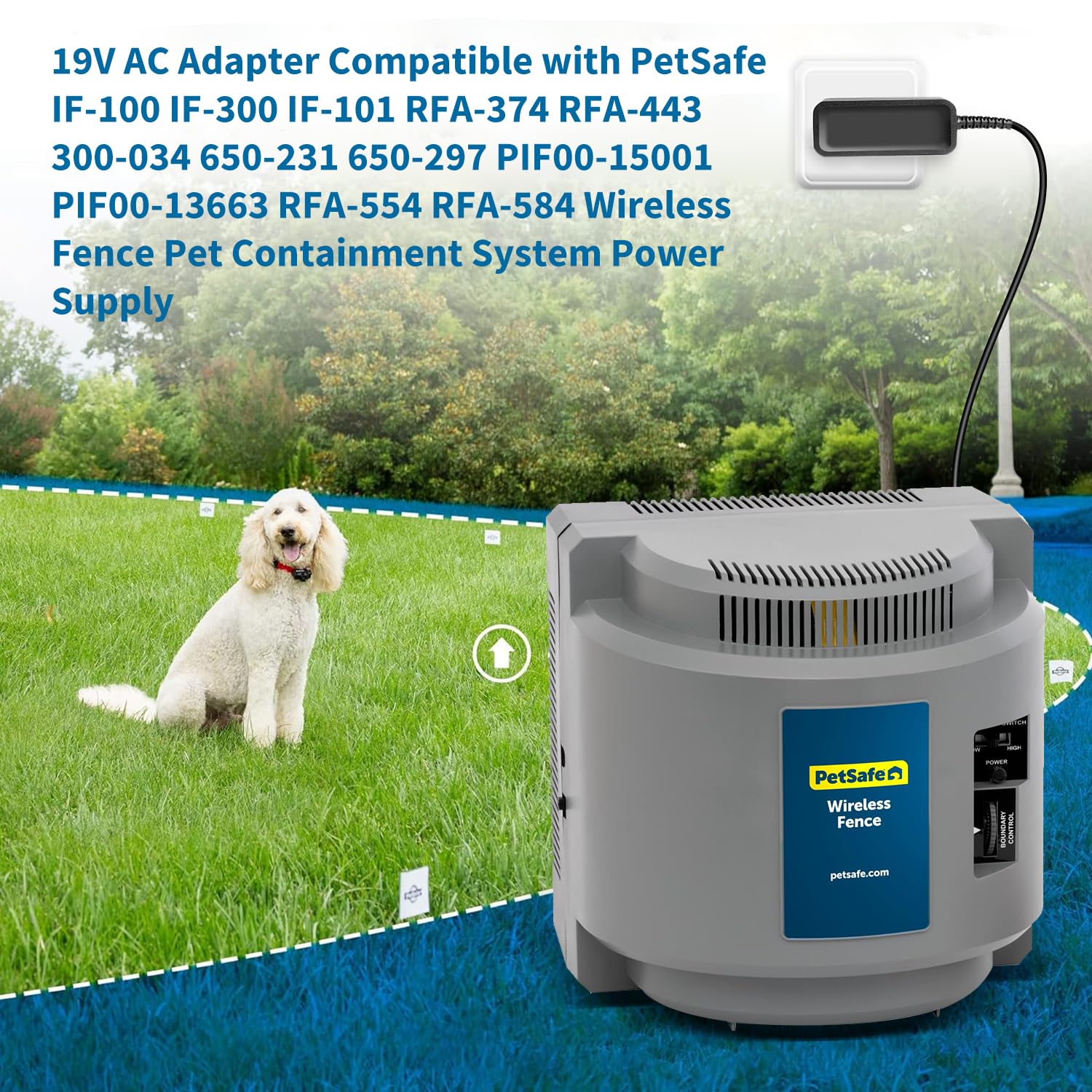 TAIFU PetSafe 19V output detail illustrating correct voltage and plug type