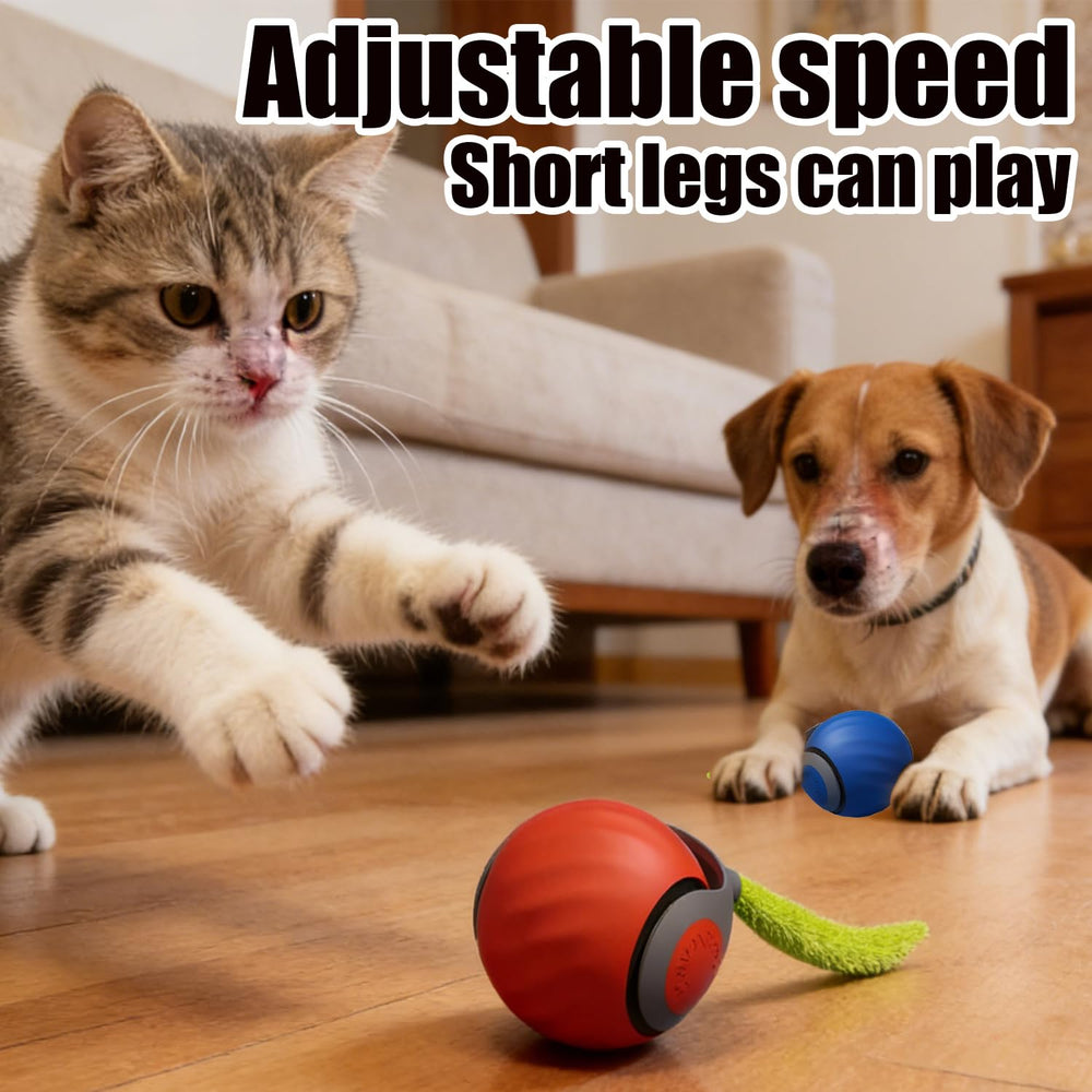 Tail 3.0 blue interactive cat toy ball promoting active play