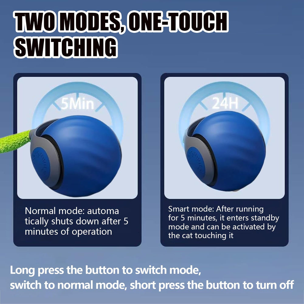 Tail 3.0 indoor outdoor use versatile pet toy for homes