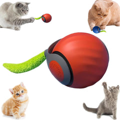 Tail 3.0 orange interactive cat toy ball engaging indoor cats