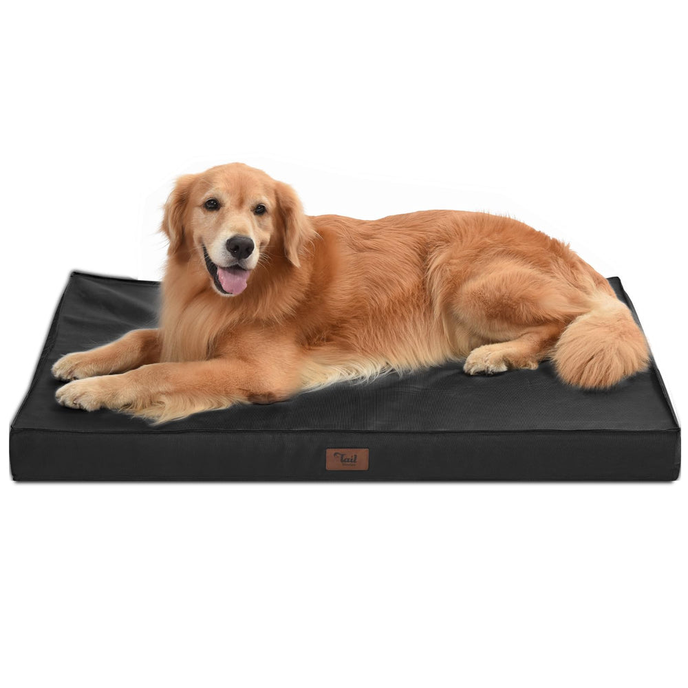 Tail Stories outdoor orthopedic bed with 44x32 egg-crate foam supports large dogs during restful naps.