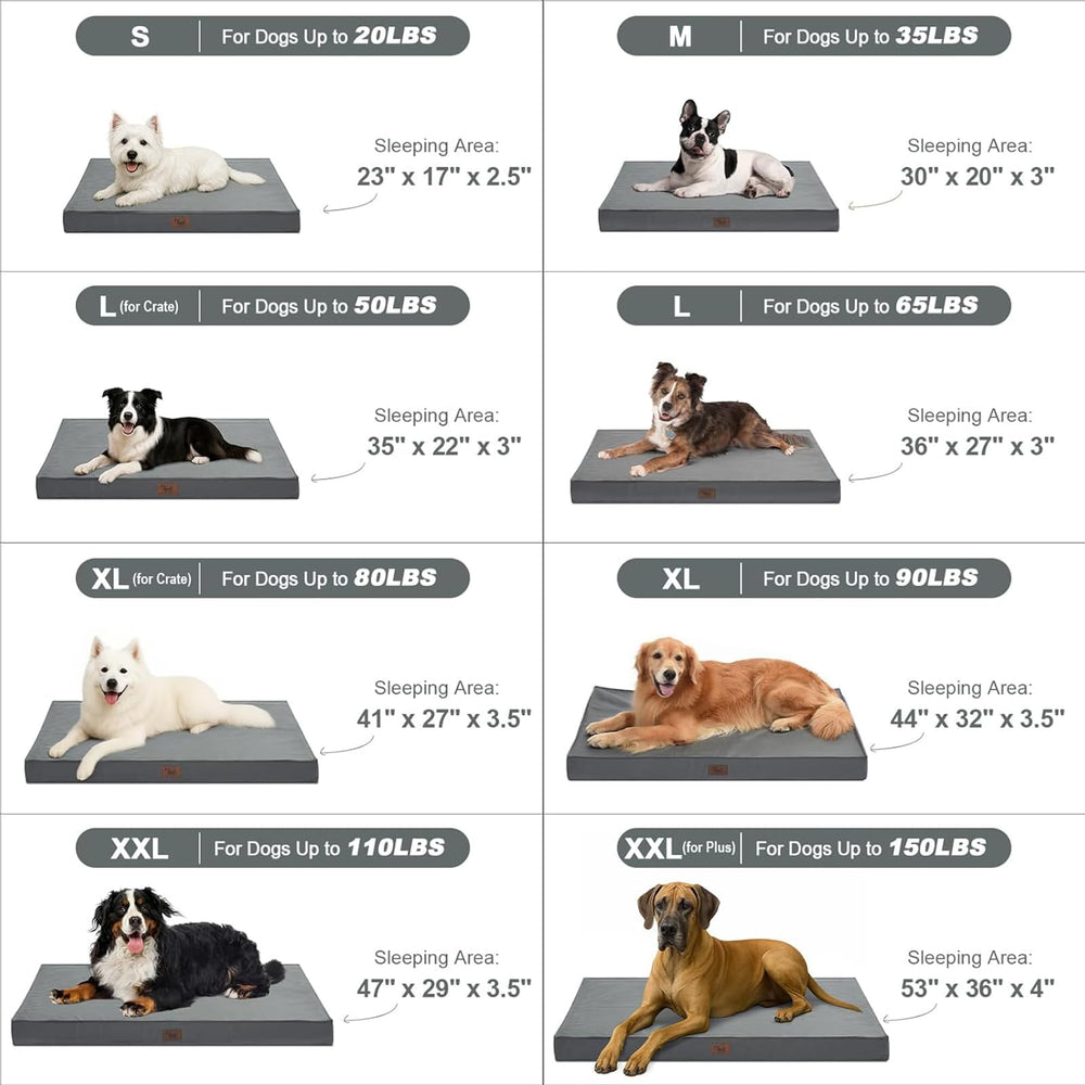 Tail Stories bed 36x27 in a home setting demonstrates suitability for large breeds