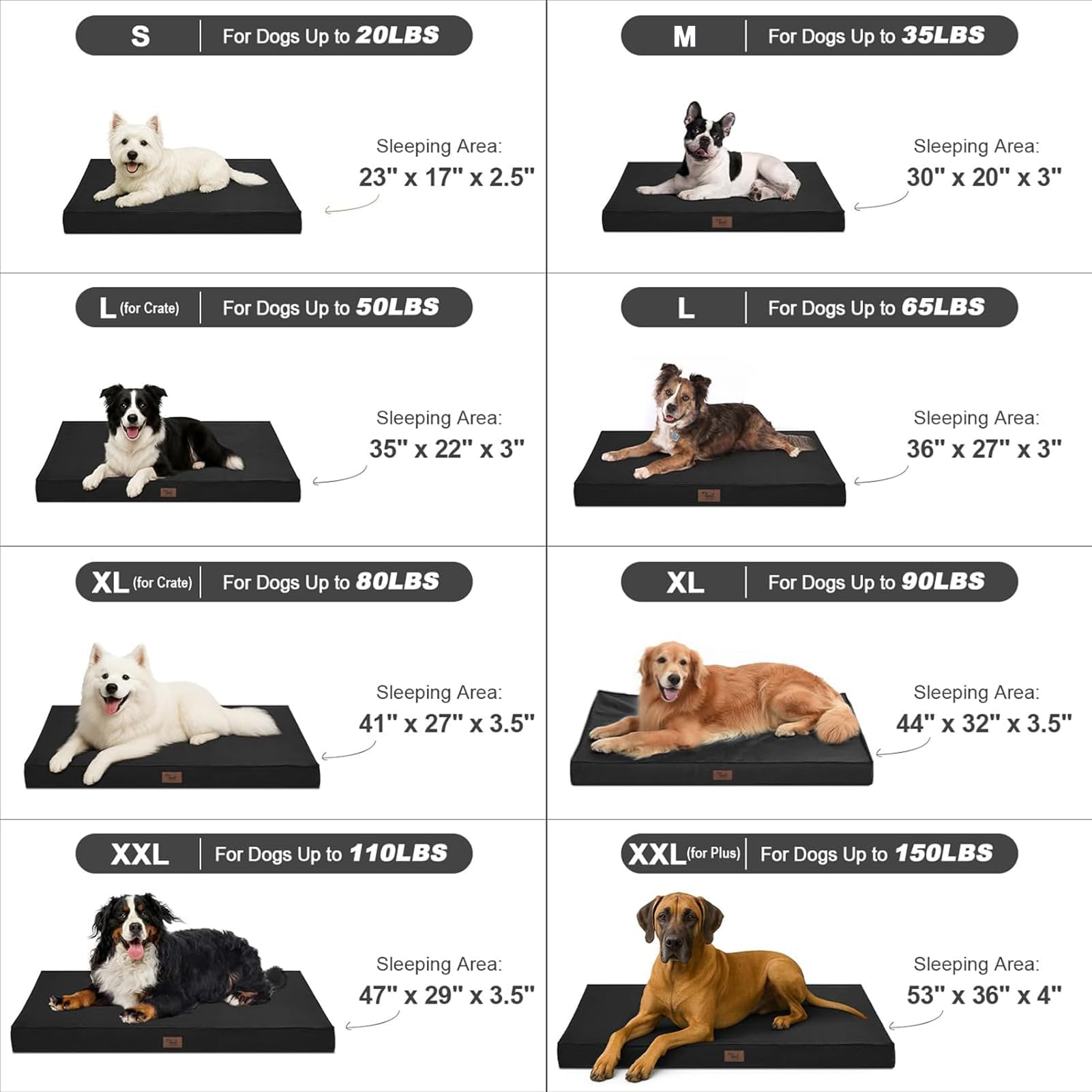 Tail Stories travel-ready bed supports large dogs on camping trips and road trips.