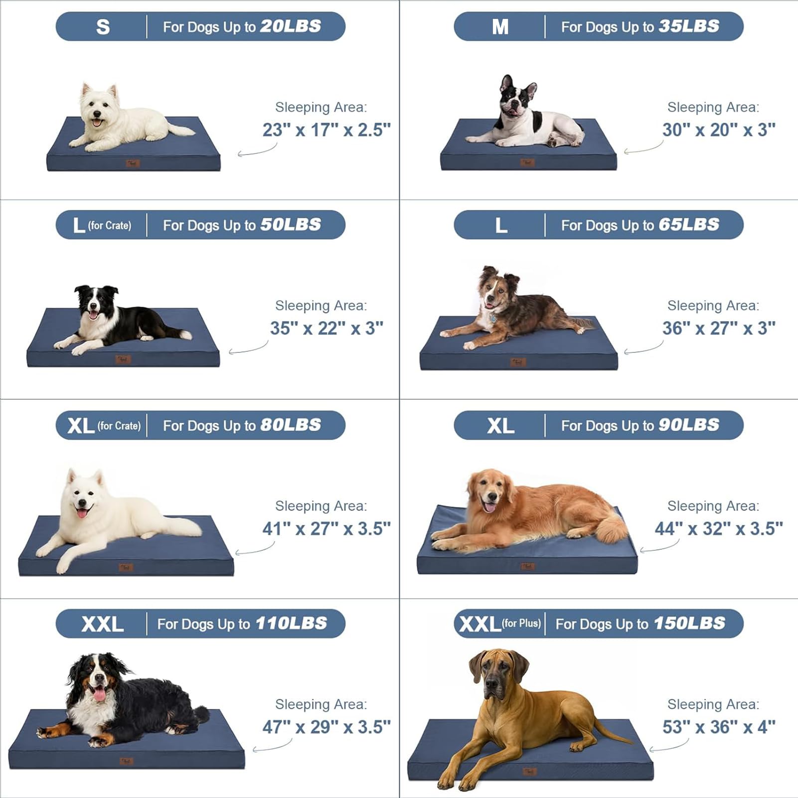 Tail Stories 30x20 size displayed for a mid-size dog bed option