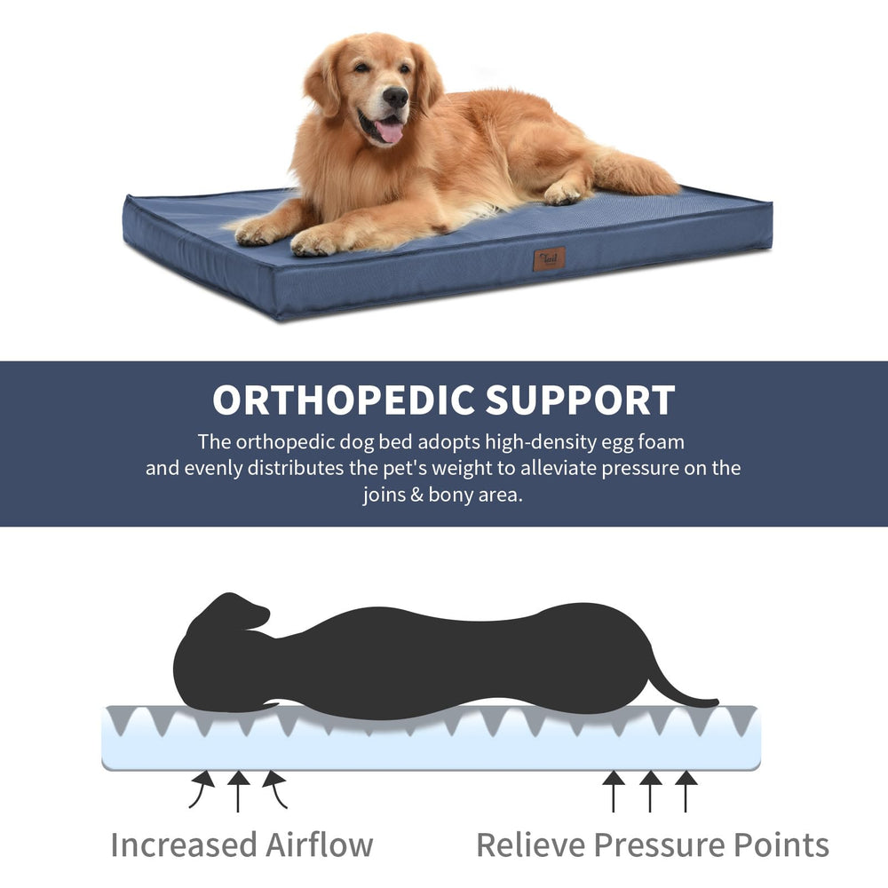 Tail Stories egg-crate foam shows orthopedic-supporting comfort for dogs