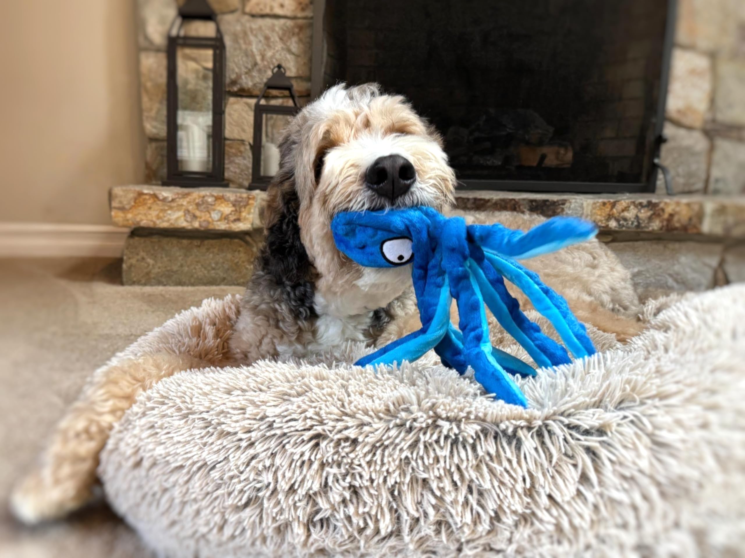 Tail Town Octopus dog toy blue backyard-ready for indoor-outdoor adventures