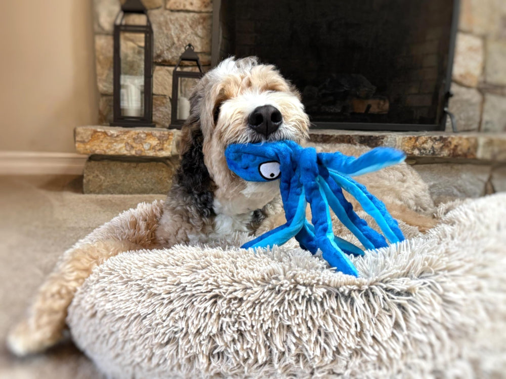 Tail Town Octopus dog toy blue backyard-ready for indoor-outdoor adventures
