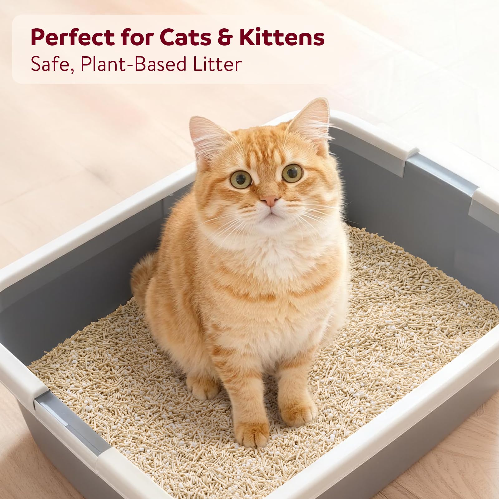 Tail&Tale easy-scooping pellets simplify litter box cleanup after use