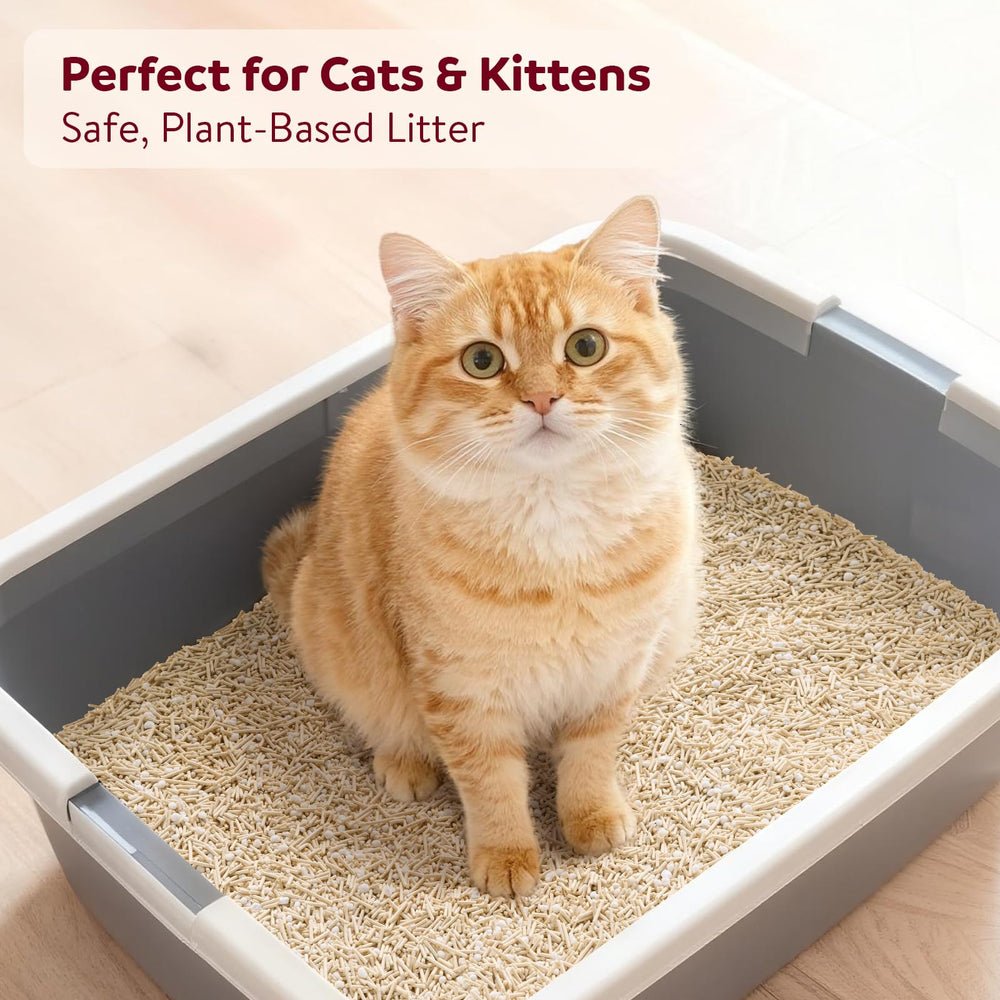 Tail&Tale easy-scooping pellets simplify litter box cleanup after use
