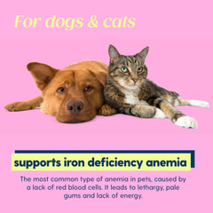 Tailey AminoPets liquid iron dog-dose-pipette for quick, easy administration.