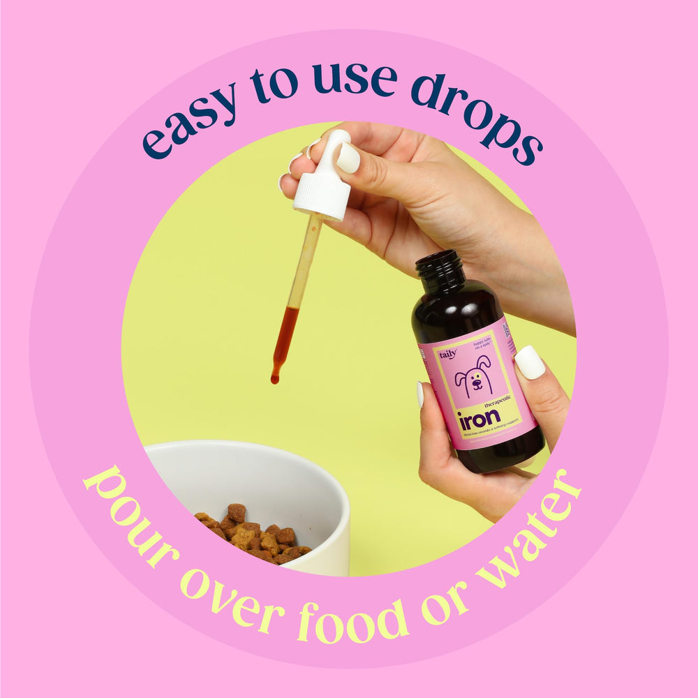 Tailey AminoPets liquid iron glass-bottle highlights clean, preservative-free formula.